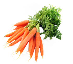 Carrot